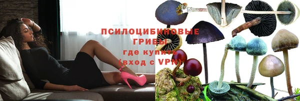 соль курить ск Вяземский