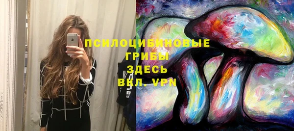 соль курить ск Вяземский
