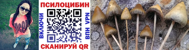 darknet клад  Гусиноозёрск  Псилоцибиновые грибы мухоморы  блэк спрут ССЫЛКА 